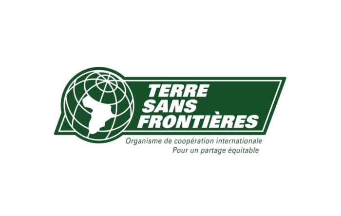 ancien logo TSF