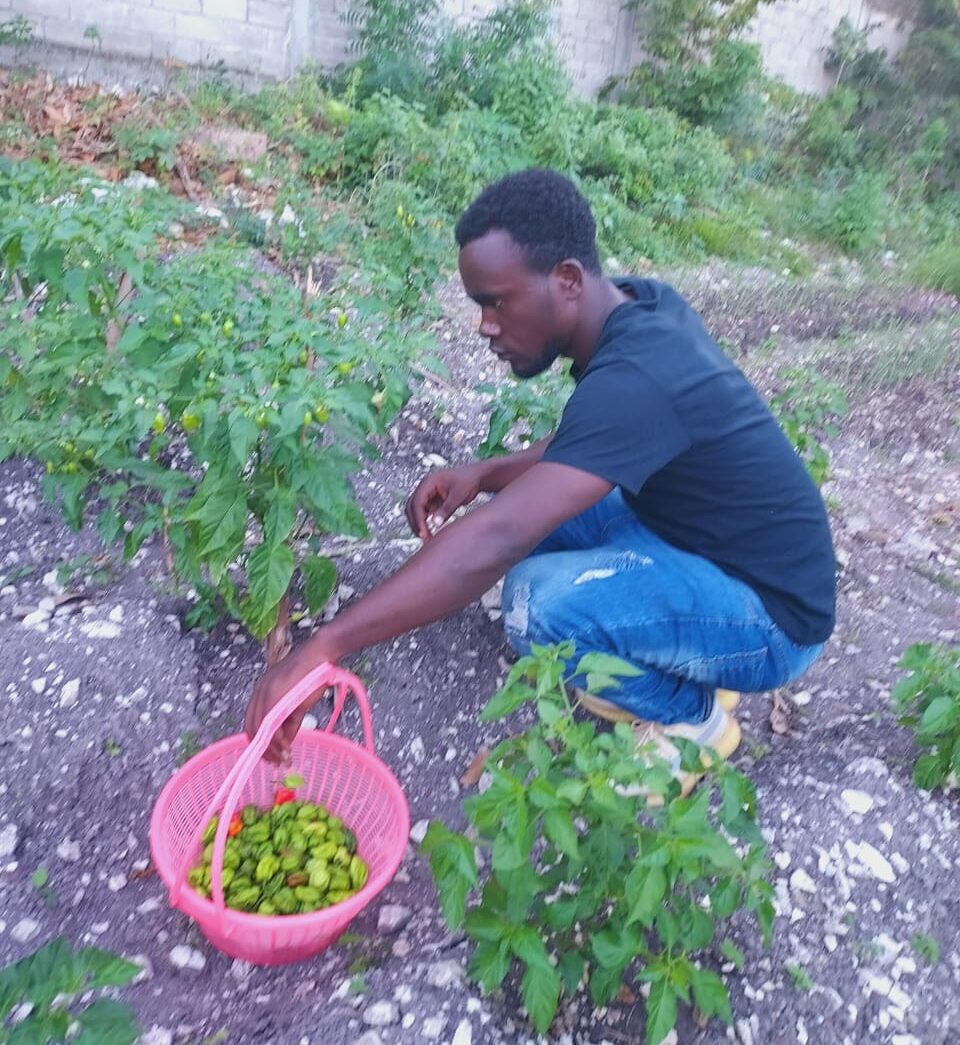 journéee_environnement_TSF_Haiti_1