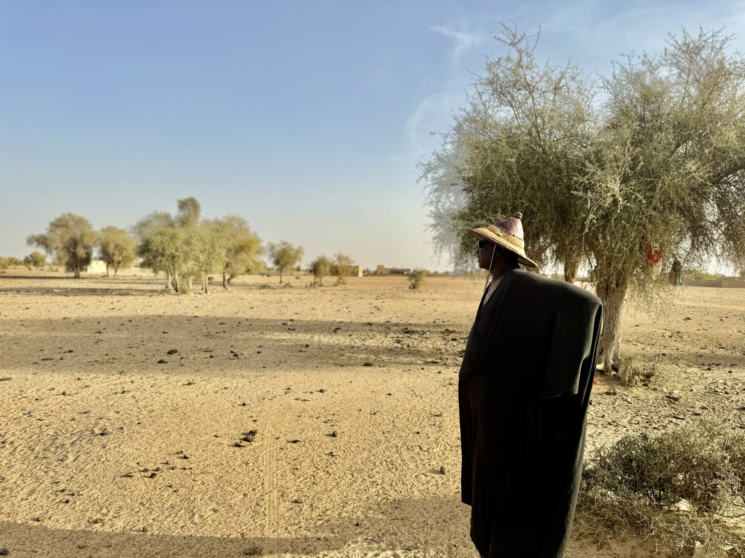 journéee_environnement_TSF_Senegal