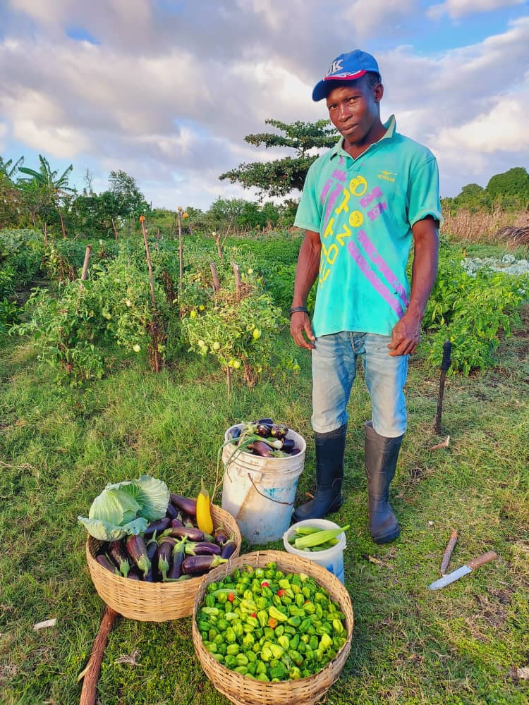 Haïti agriculteur