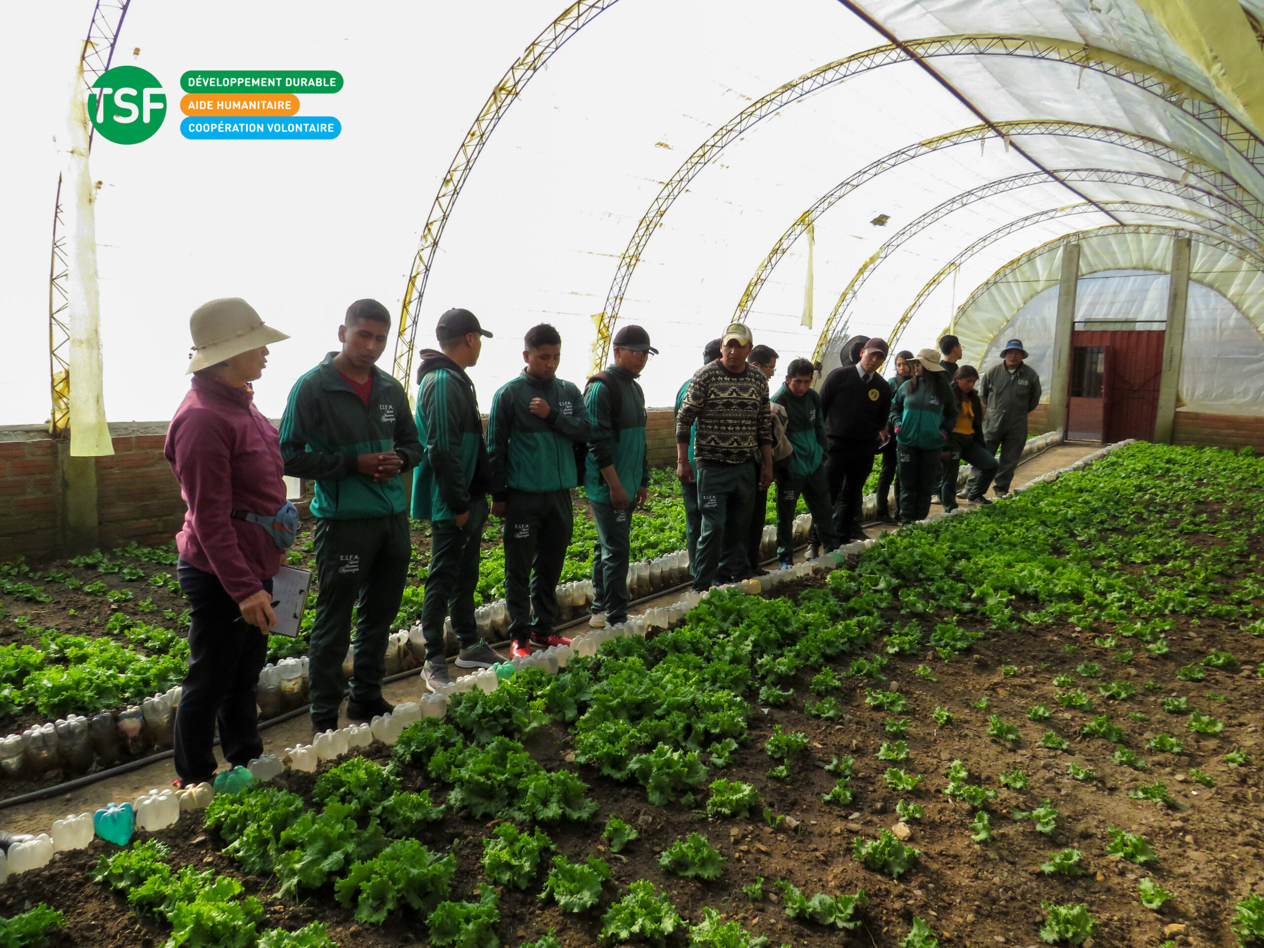 sécurité alimentaire Bolivie TSF