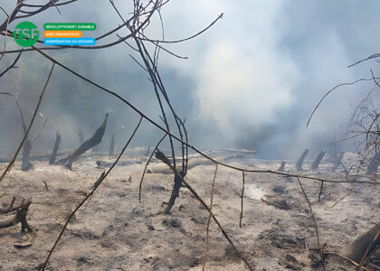 Bolivie incendies de forêt