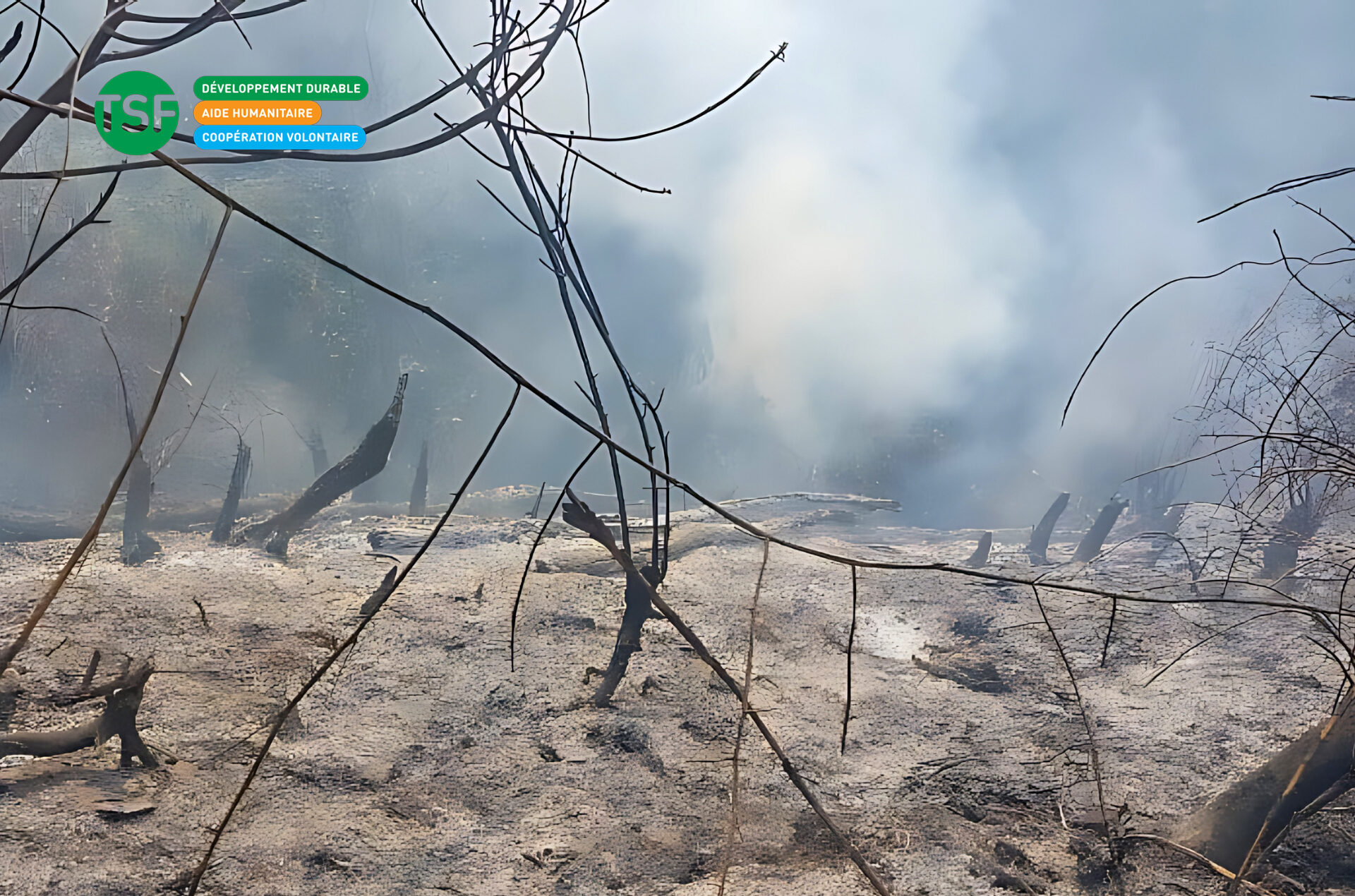 Bolivie incendies de forêt