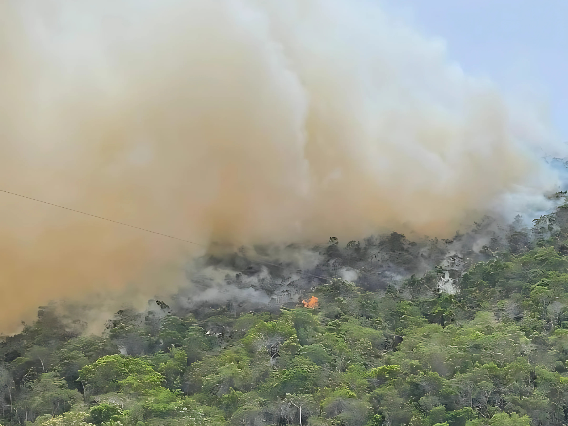 feu de forêt en Bolivie dû au changement climatique