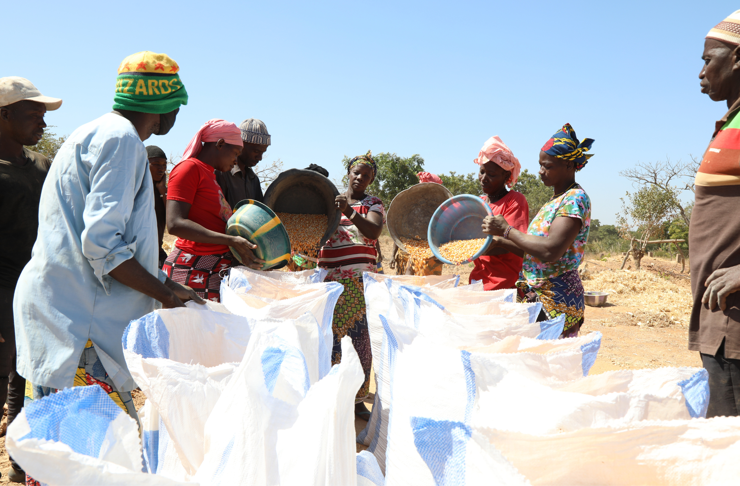 couverture blogue environnement Mali