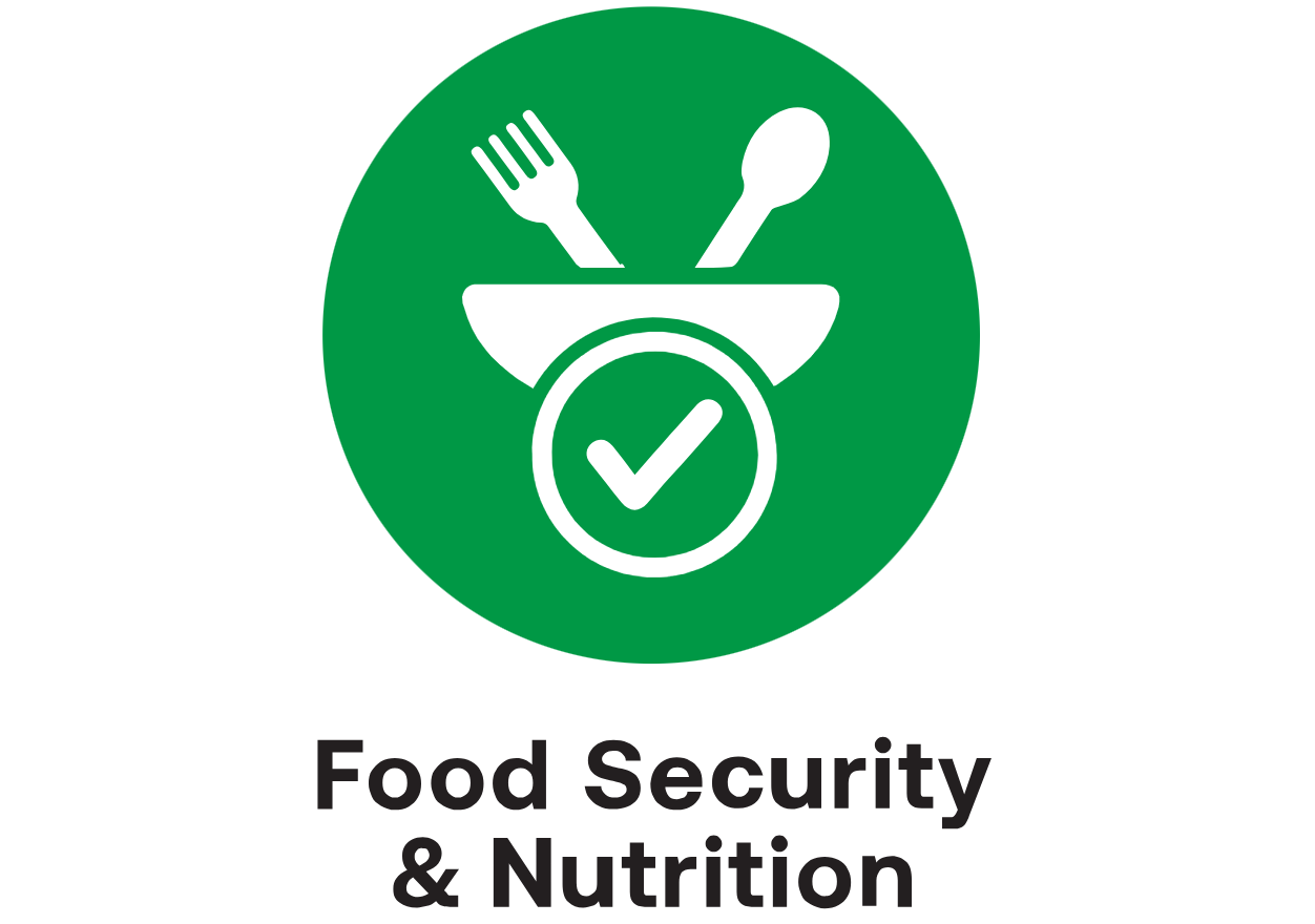 food security and nutrition size 2