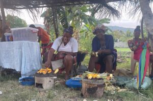 couverture blogue SDI Haiti