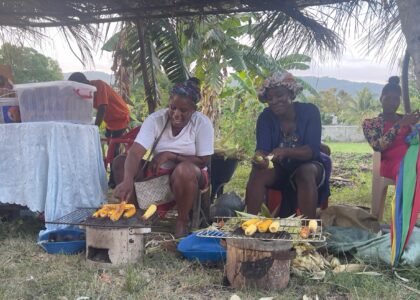 couverture blogue SDI Haiti